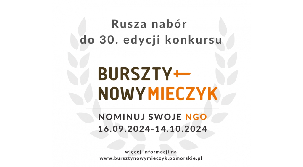 Rozpoczął się nabór wniosków do Nagród Bursztynowego Mieczyka dla organizacji pozarządowych 