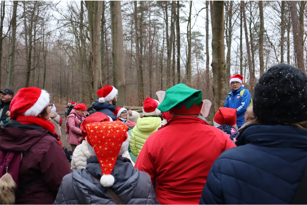 Mikołajkowy Marsz Nordic Walking