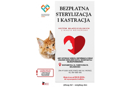 Darmowa akcja sterylizacji i kastracji kotów właścicielskich w Wejherowie 