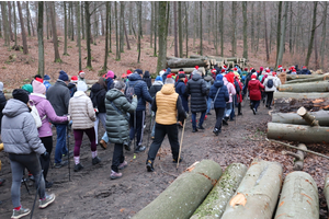 Mikołajkowy Marsz Nordic Walking