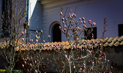 Maj 2026