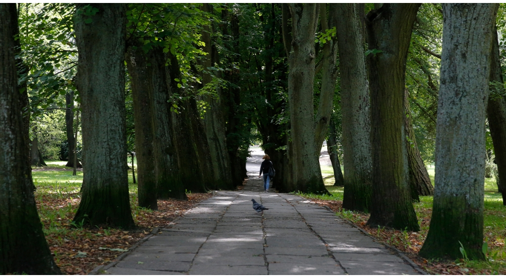 Zamknięty Park Kaszubski - rozpoczyna się budowa 