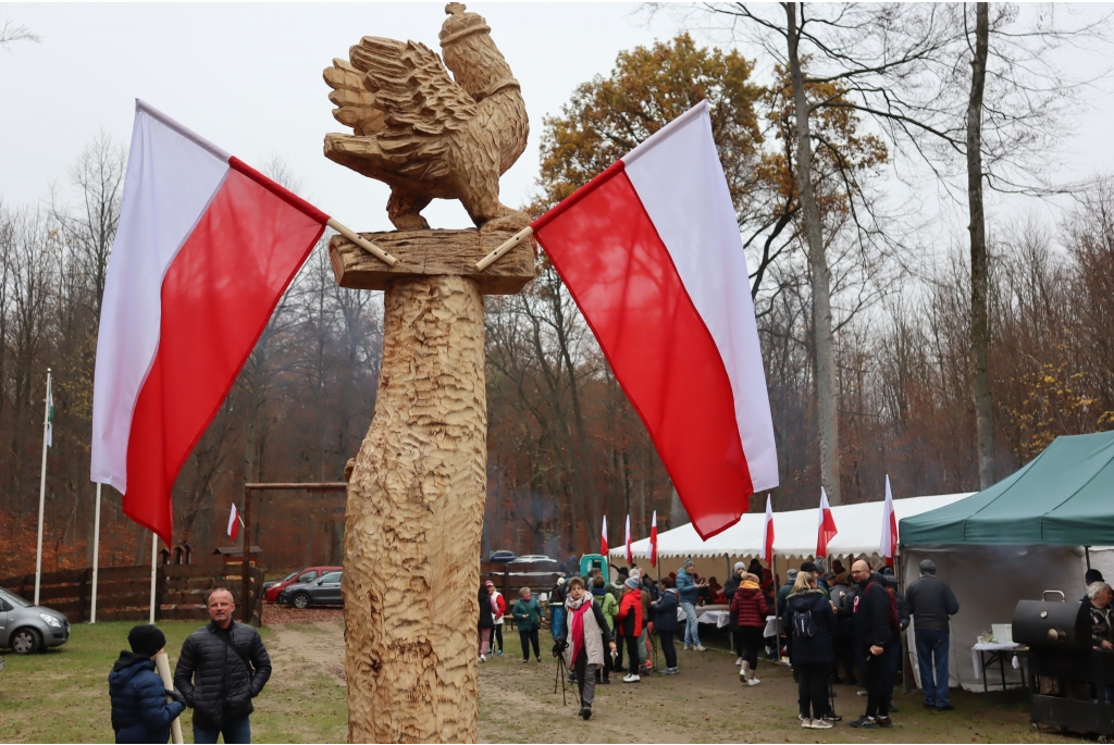 Niepodległościowy Marsz Nordic Walking