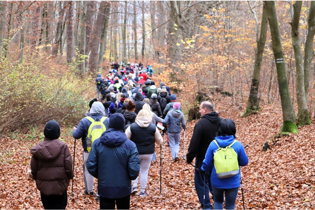 Niepodległościowy Marsz Nordic Walking