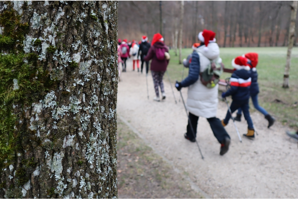 Mikołajkowy Marsz Nordic Walking