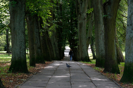 Zamknięty Park Kaszubski - rozpoczyna się budowa 