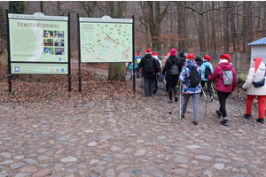 Mikołajkowy Marsz Nordic Walking