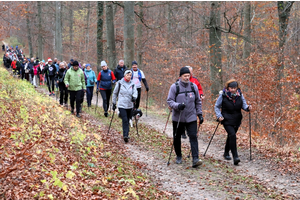 Niepodległościowy Marsz Nordic Walking