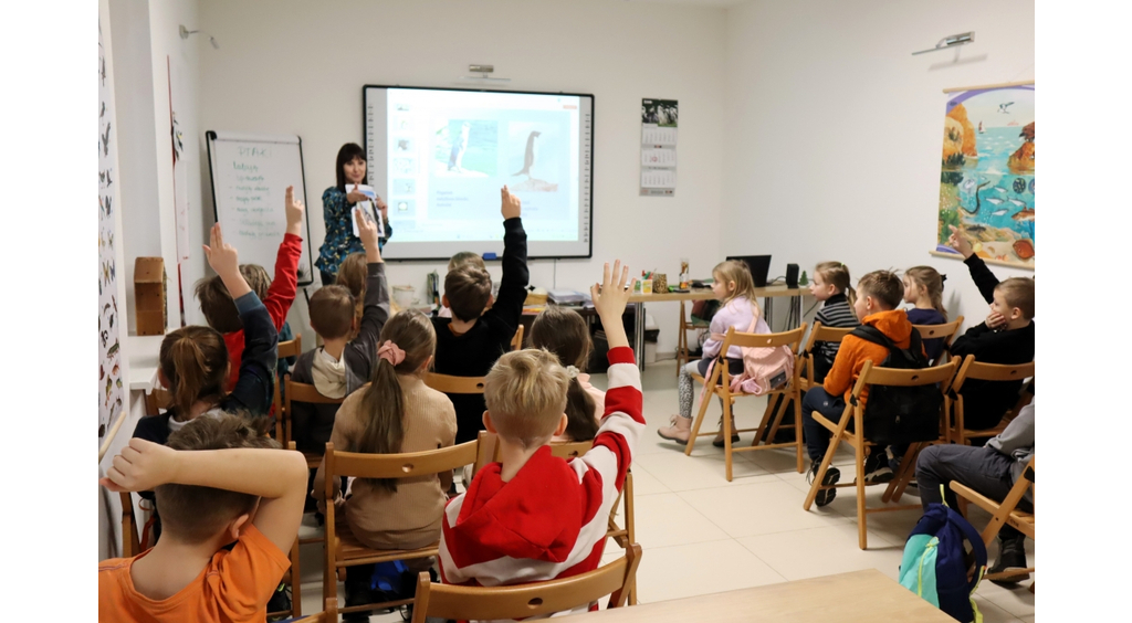 Zajęcia o pingwinach w Parku Miejskim