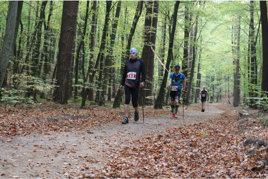 Wejherowo stolicą europejskiego nordic walkingu