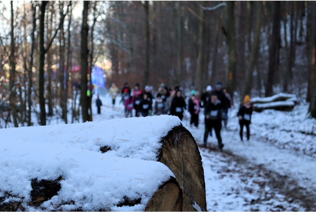 Puchar Polski Nordic Walking w Wejherowie