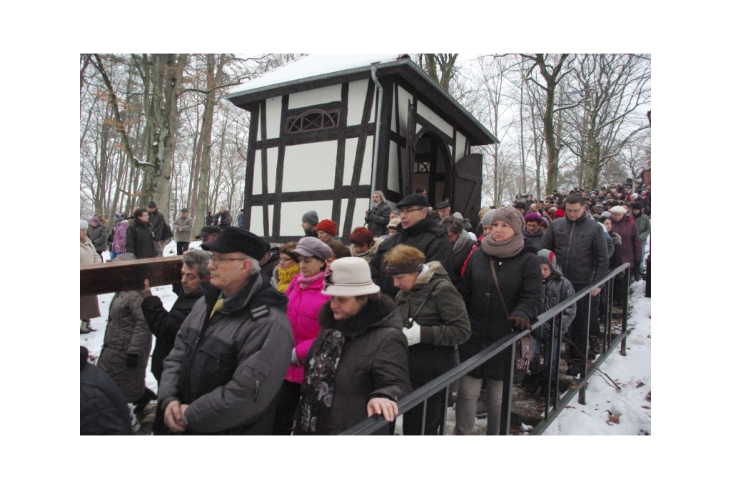 Droga Krzyżowa na Kalwarii - 15.02.2013