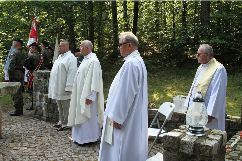 Hołd żołnierzom 1 MPS poległym pod Białą