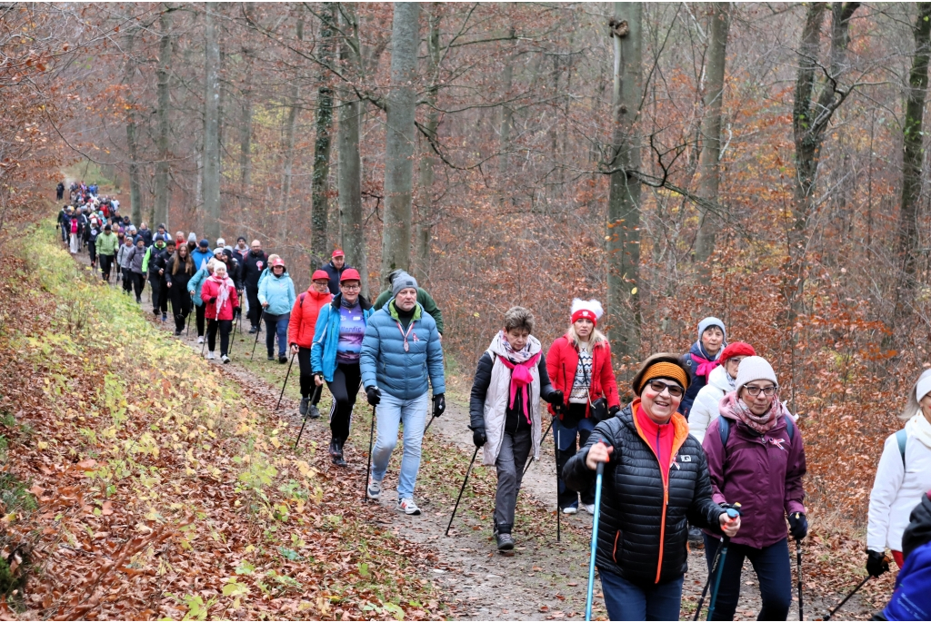 Niepodległościowy Marsz Nordic Walking