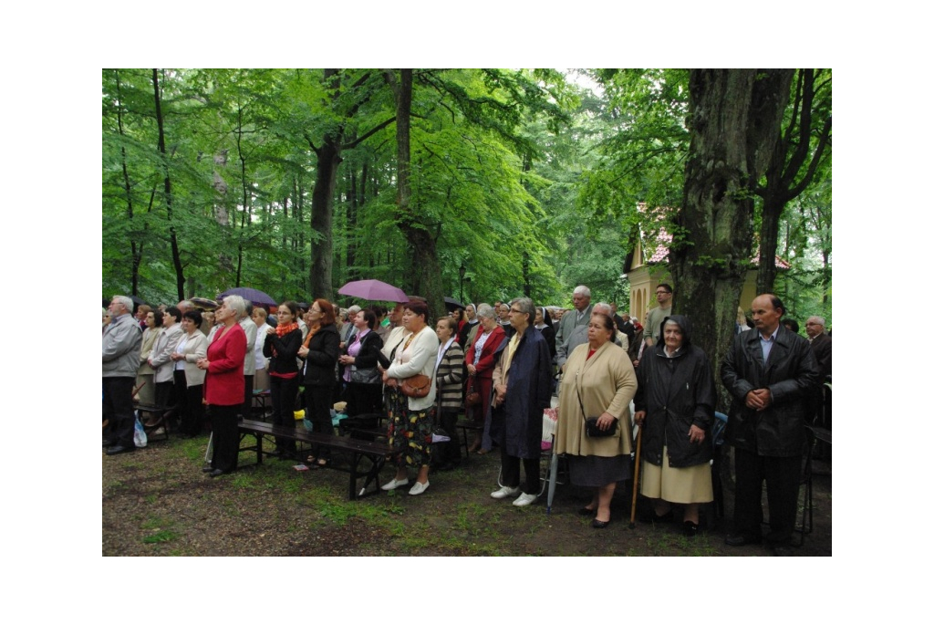 Kalwaryjski odpust z modlitwą za chorych - 01.07.2012