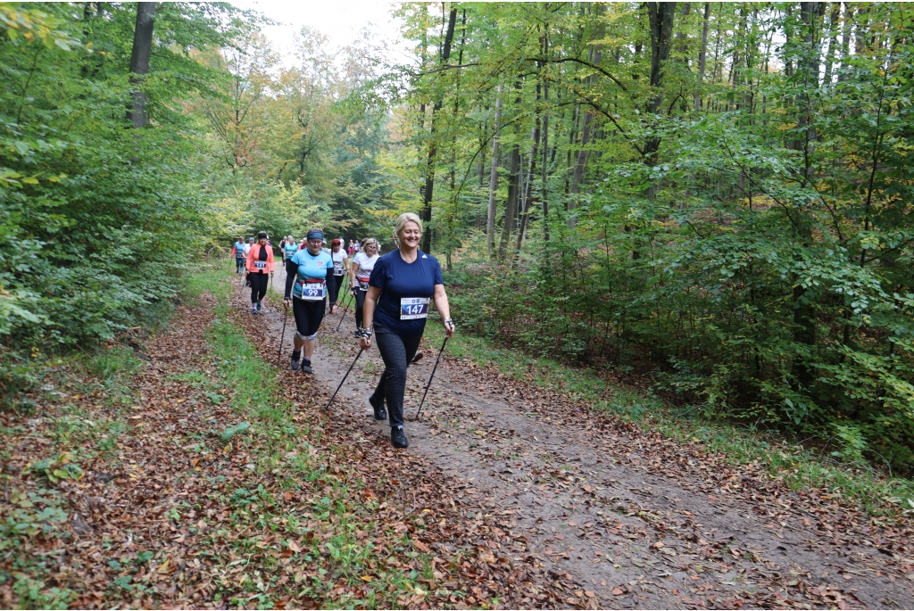 Wejherowo stolicą europejskiego nordic walkingu