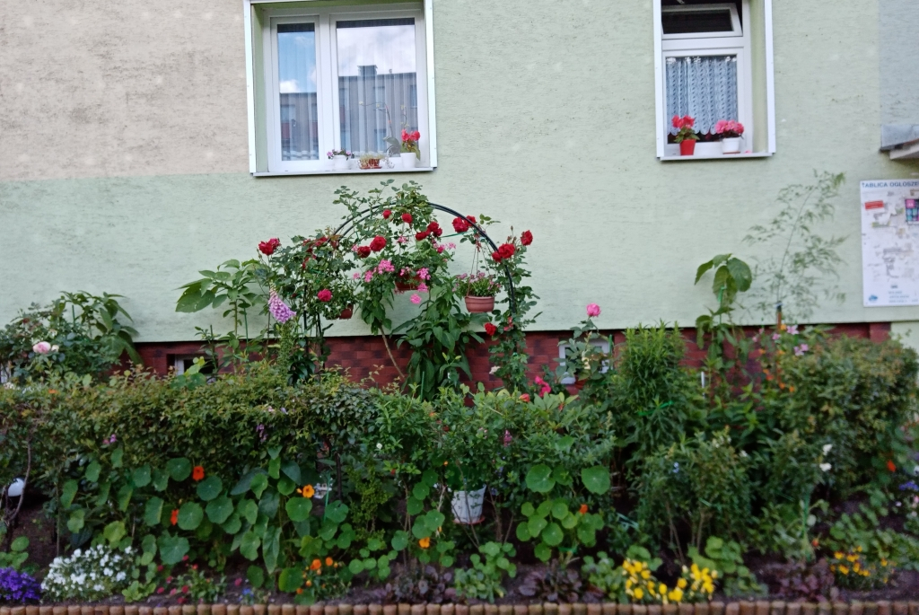 Konkurs na najładniej ukwiecony i zazieleniony balkon, okno lub ogród na terenie miasta