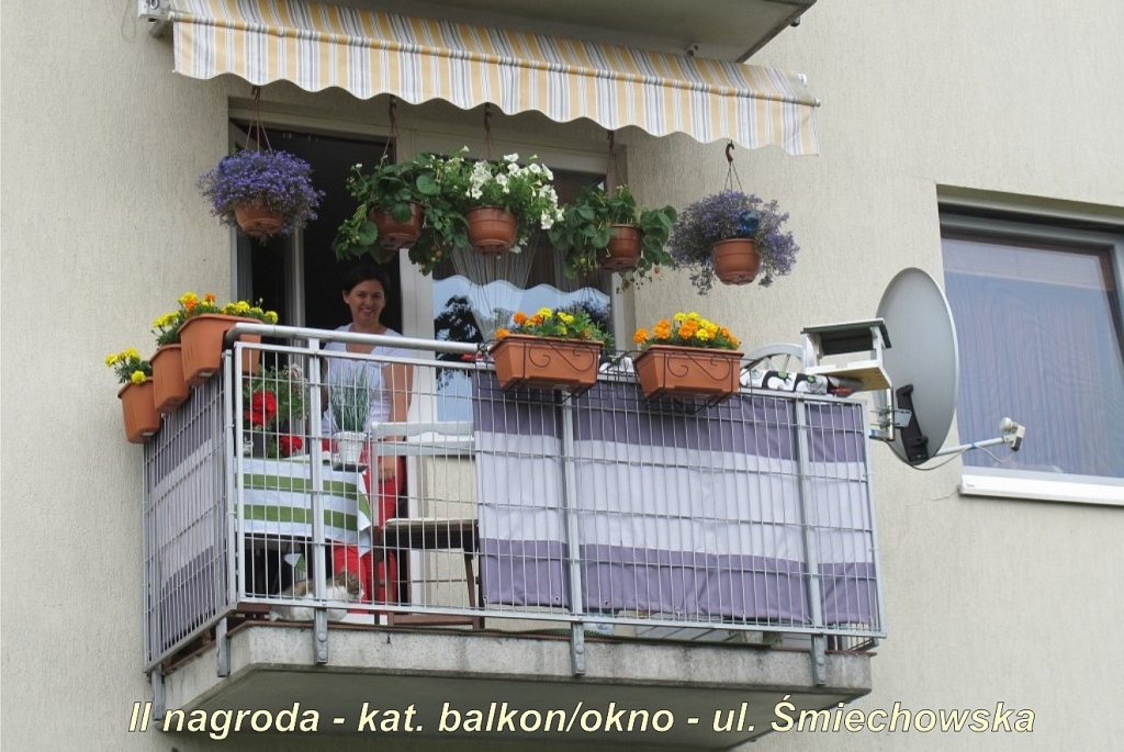 Finał XVI Konkursu na najładniej ukwiecony i zazieleniony balkon, okno lub ogród - 01.08.2013