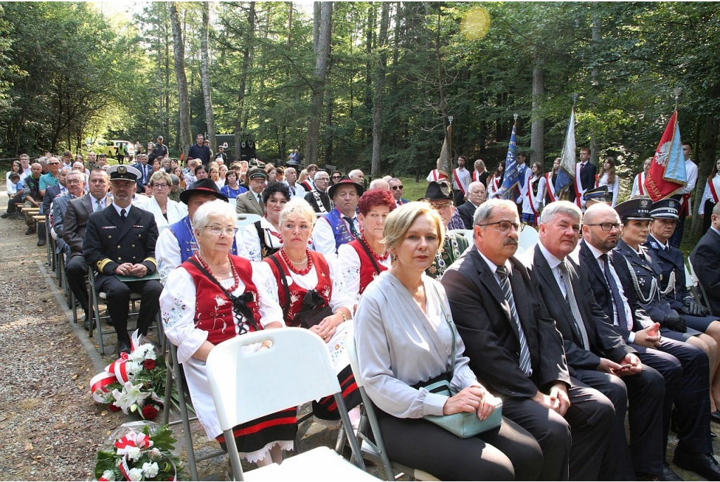 Hołd żołnierzom 1 MPS poległym pod Białą