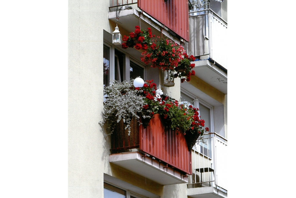 Konkurs na najładniej ukwiecony i zazieleniony balkon, okno lub ogród na terenie miasta