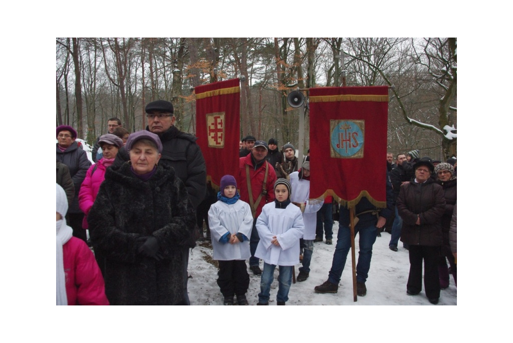 Droga Krzyżowa na Kalwarii - 15.02.2013