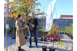 KLIMATycznie w Wejherowie – kolejne sadzonki dla mieszkańców  