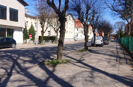 Lepsze życie drzew – odkostkowanie chodników 