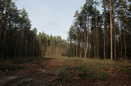 Nowa droga połączy ul. Strzelecką z Sobieskiego - element Zachodniego Połączenia Wejherowa 