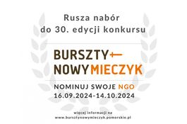 Rozpoczął się nabór wniosków do Nagród Bursztynowego Mieczyka dla organizacji pozarządowych 