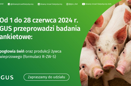 Badanie pogłowia świń oraz produkcji żywca wieprzowego