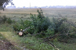 Ostrzeżenie o silnym wietrze