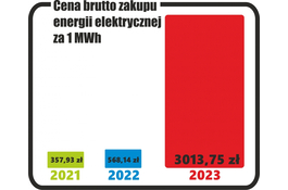 Szokująca podwyżka cen energii elektrycznej 