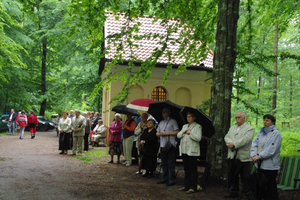 Kalwaryjski odpust z modlitwą za chorych - 01.07.2012