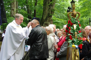 Kalwaryjski odpust z modlitwą za chorych - 01.07.2012