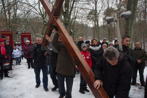 Droga Krzyżowa na Kalwarii - 15.02.2013