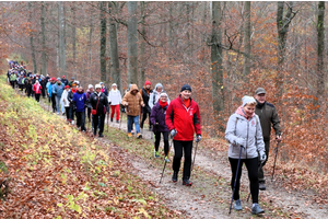 Niepodległościowy Marsz Nordic Walking