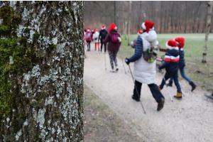 Mikołajkowy Marsz Nordic Walking