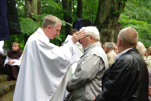 Kalwaryjski odpust z modlitwą za chorych - 01.07.2012