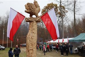 Niepodległościowy Marsz Nordic Walking